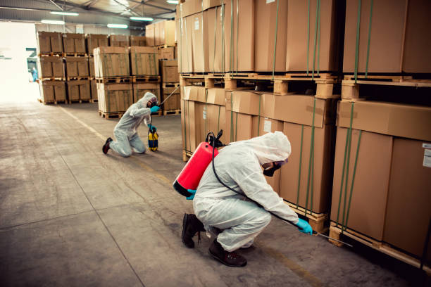 Trusted Aquebogue, NY Pest Control Experts