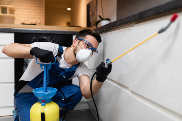 Best Best Pest Control Companies  in Aquebogue, NY
