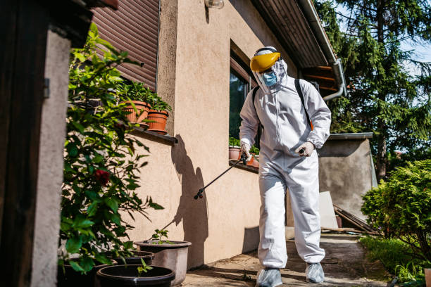 Wildlife Control Services in Aquebogue, NY