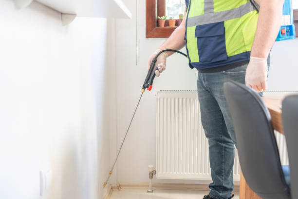 Best Ant Control Services  in Aquebogue, NY