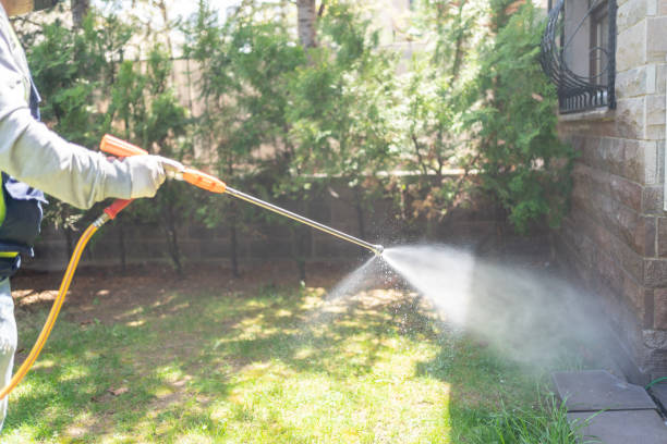 Best Pest Removal Services  in Aquebogue, NY