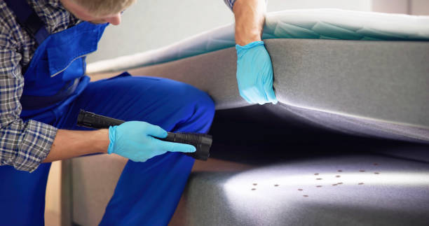 Best Commercial Pest Control Services  in Aquebogue, NY