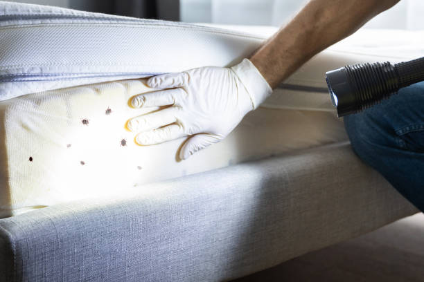 Best Wildlife Control Services  in Aquebogue, NY