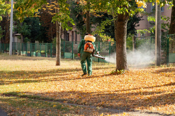 Best Best Pest Control Companies  in Aquebogue, NY