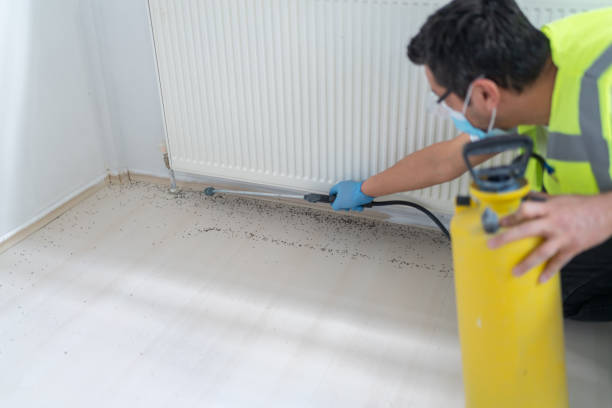 Pest Control Cost in Aquebogue, NY
